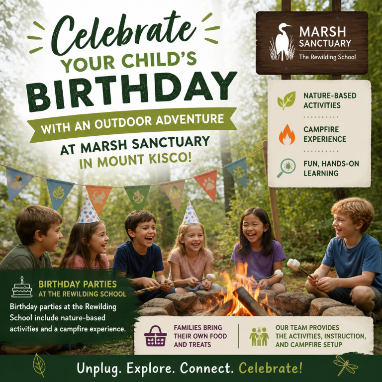 The Rewilding School Birthday Party